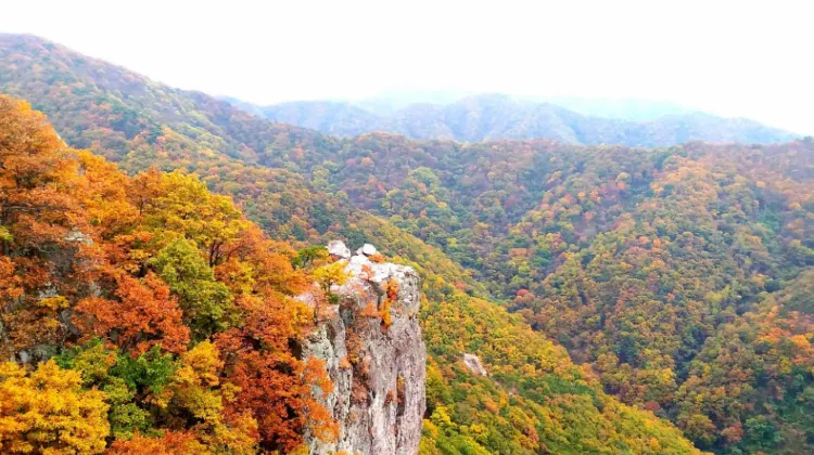 Best Things to do in Gwangju