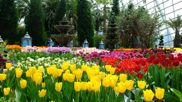 Things to do at Gardens by the Bay