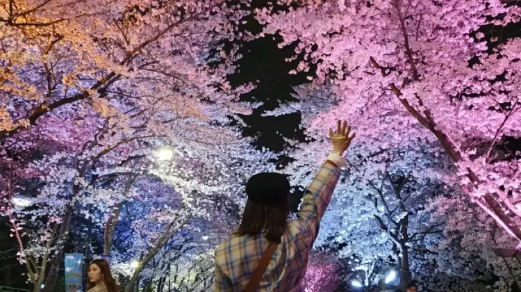 韓国鉄道で釜山から東大邱駅へ！運賃・時刻表
