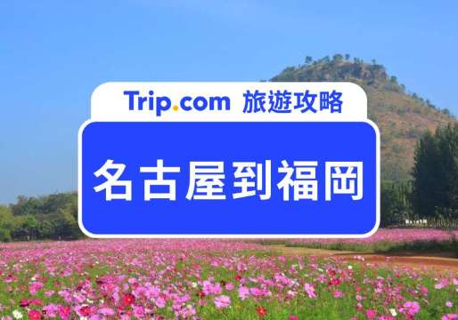名古屋到福岡交通全攻略｜新幹線、飛機、夜巴士、自駕路線一次看，一文看懂從名古屋到福岡的所有交通方式 | Trip.com