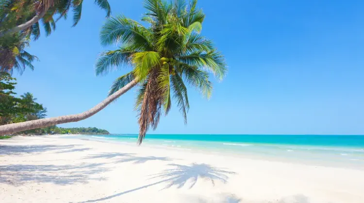 中部国際空港から海外への直行便｜ホノルル