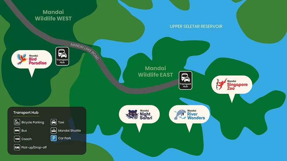 How to get to River Wonders?