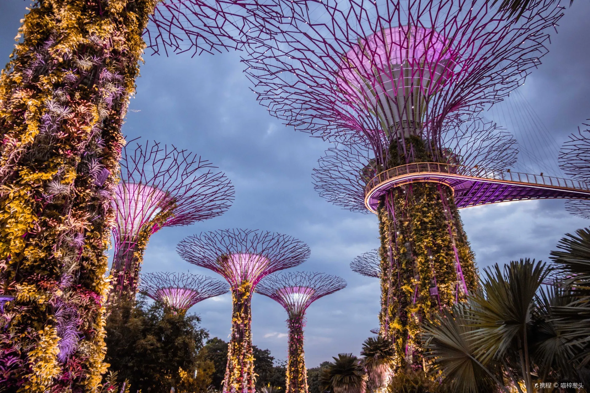 การ์เด้นส์ บาย เดอะ เบย์ (Gardens by the Bay) 