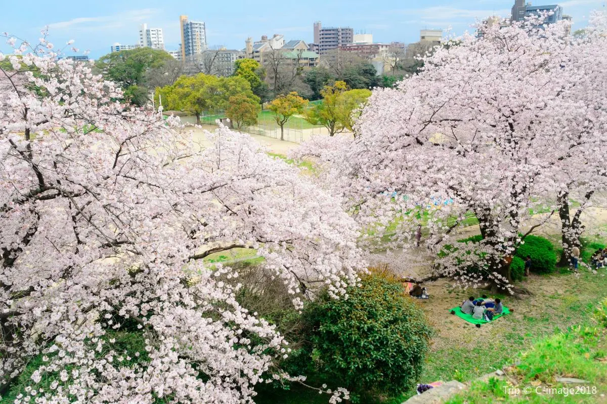 福岡地圖  舞鶴公園