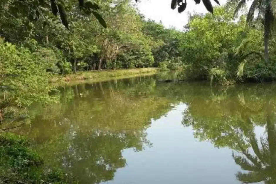 Пруды в парке Шри Накхон Кхыан Кхан