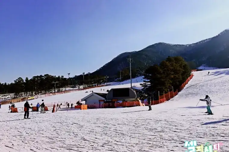 芝山森林度假村滑雪場