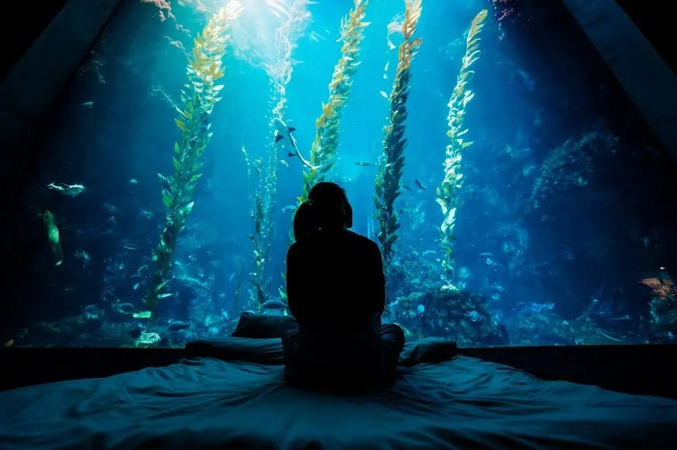 海生館