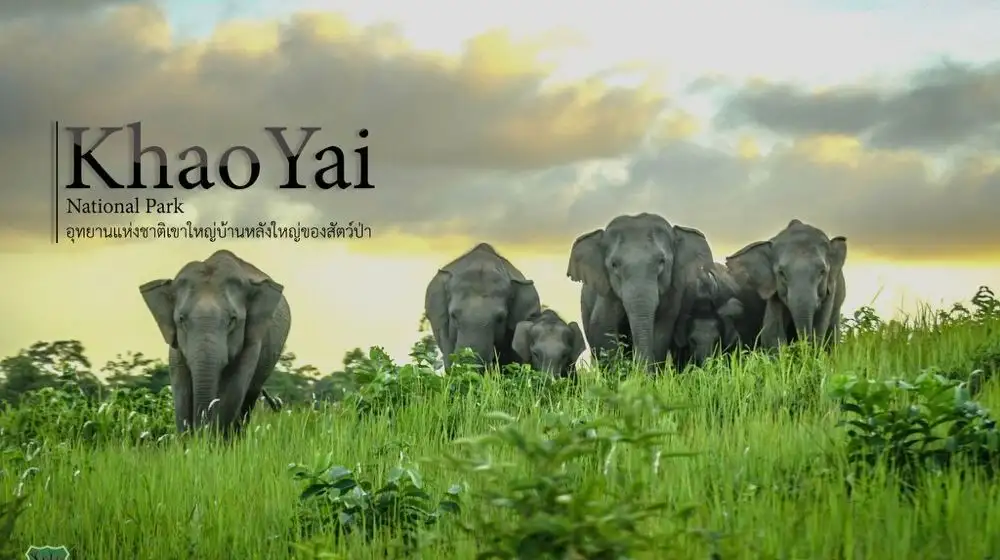 อุทยานแห่งชาติเขาใหญ่