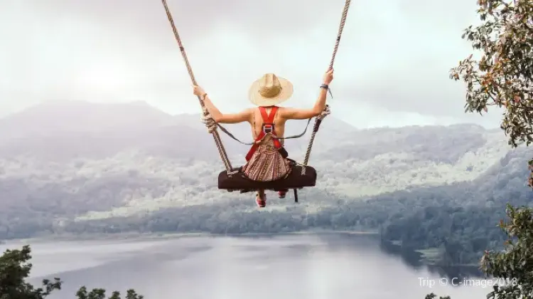 Bali Swing: Things to do in Bali