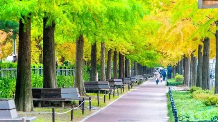 Daejeon