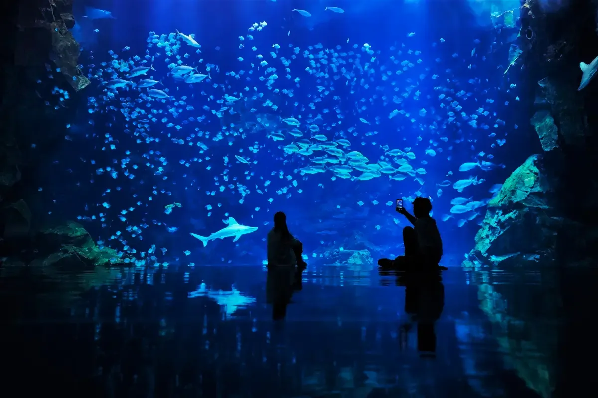 Xpark 水族館展區