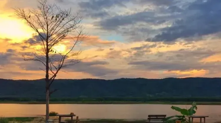 ที่เที่ยวเชียงราย#26 บ้านไม้ปรายเมฆ