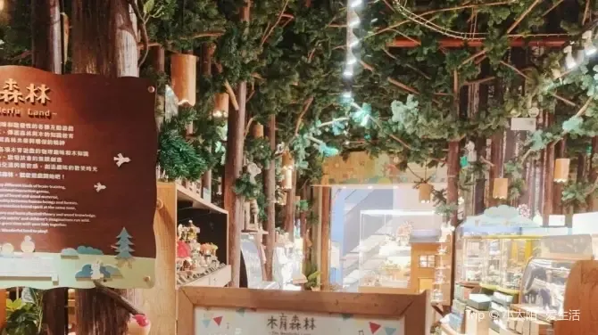 室內遊樂場 | 木育森林