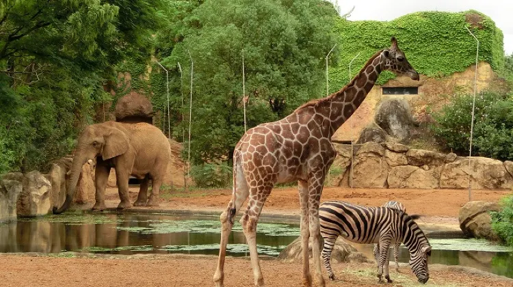 八木山動物公園