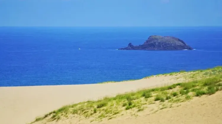 鳥取のお土産選びでよくある質問