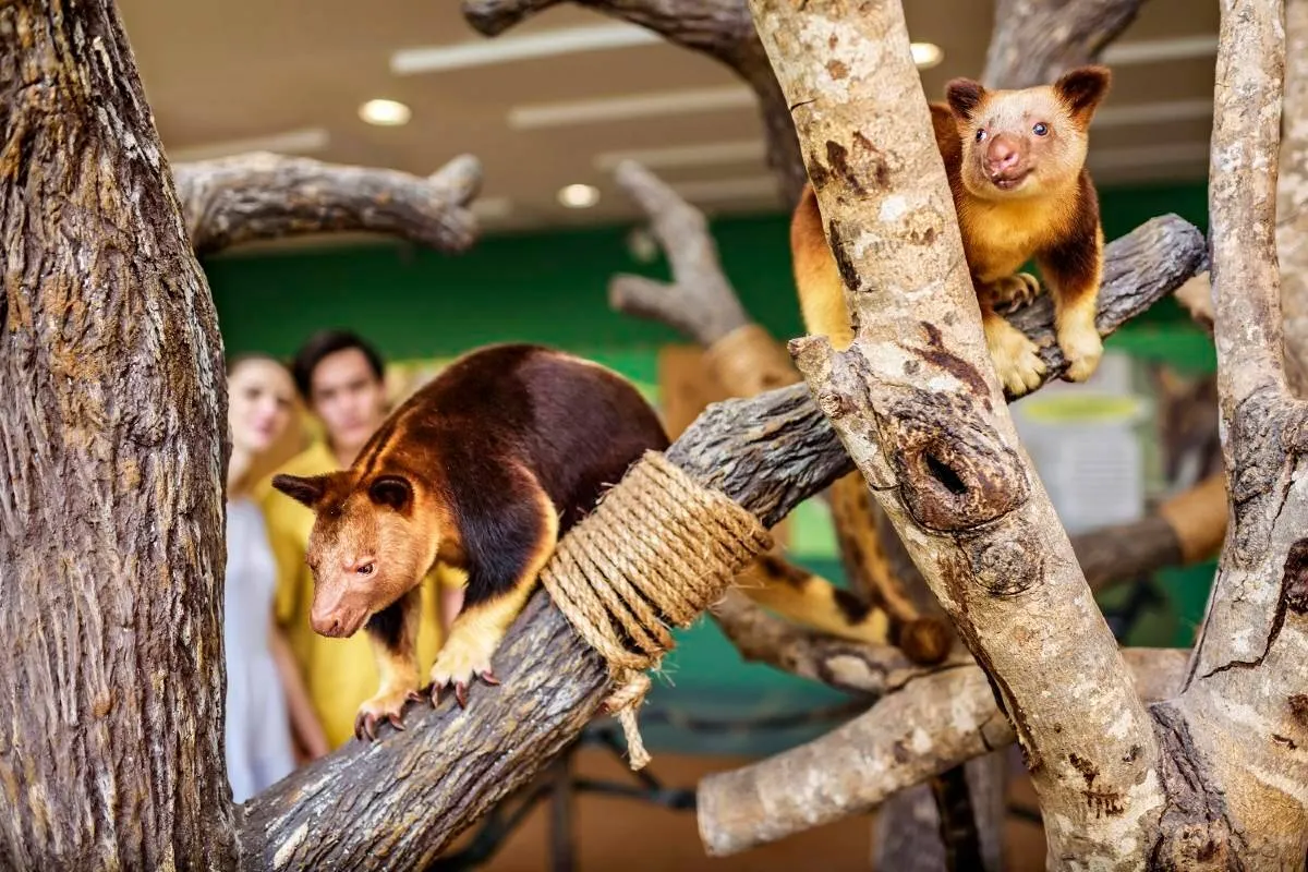 hewan di Singapore Zoo