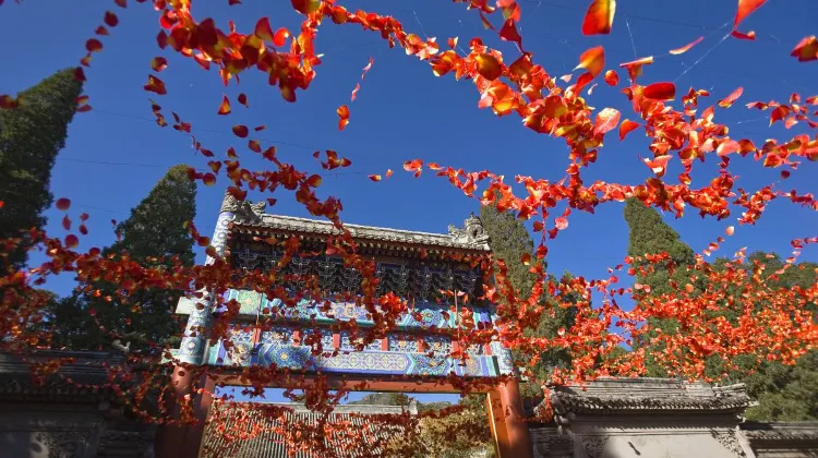 Beijing Itinerary: Things to do in Beijing