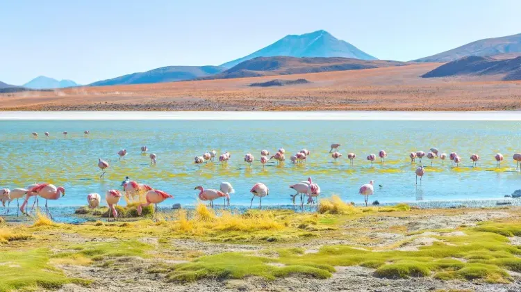 ボリビアで巻き込まれやすいトラブル5つ