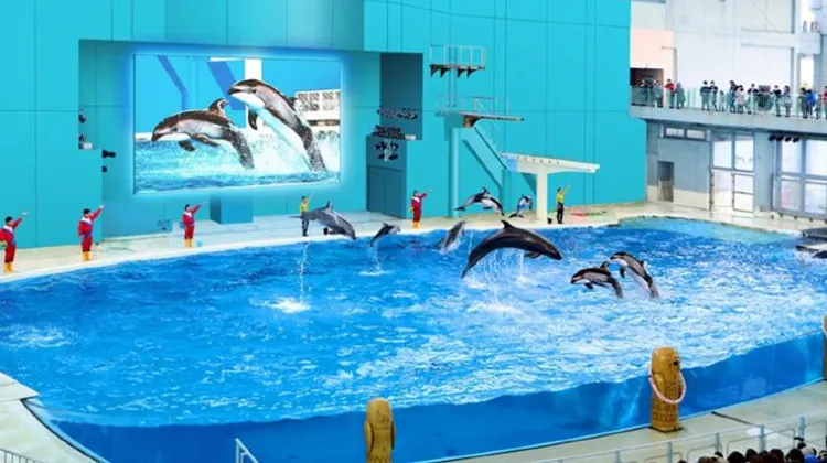 横浜のひとり旅でよくある質問