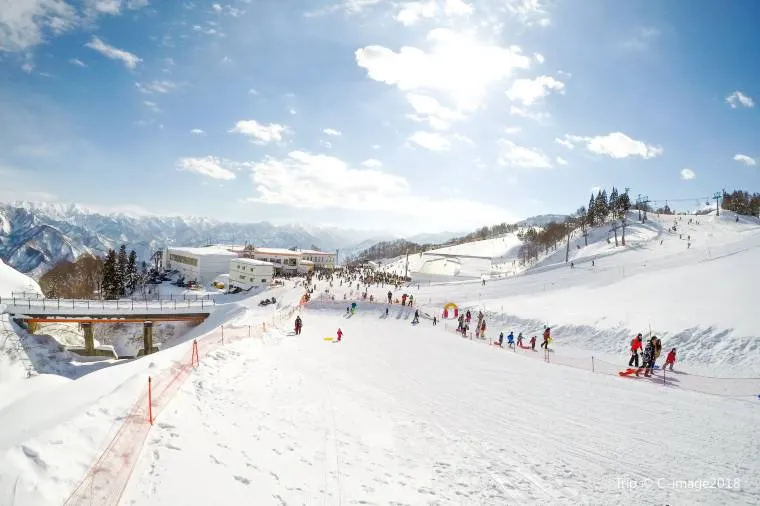 アメリカの季節の特徴