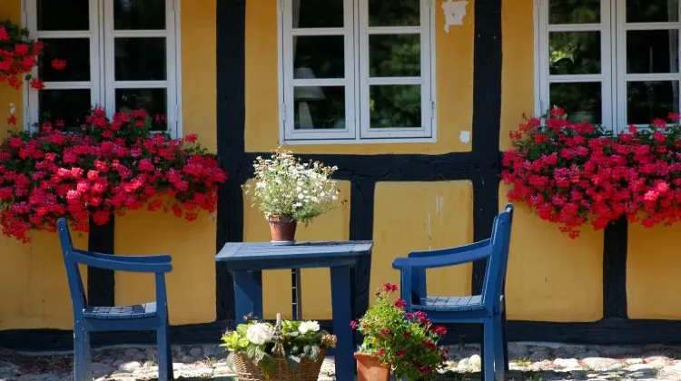 デンマークのひとり旅でよくある質問