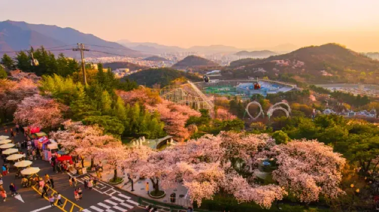 東大邱駅から多彩な冒険を楽しもう！