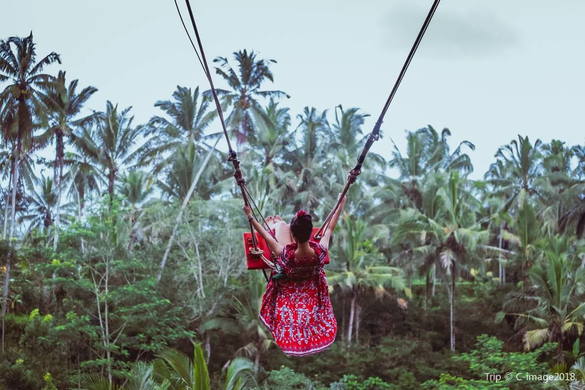 Tempat Wisata di Indonesia-Bali Swing