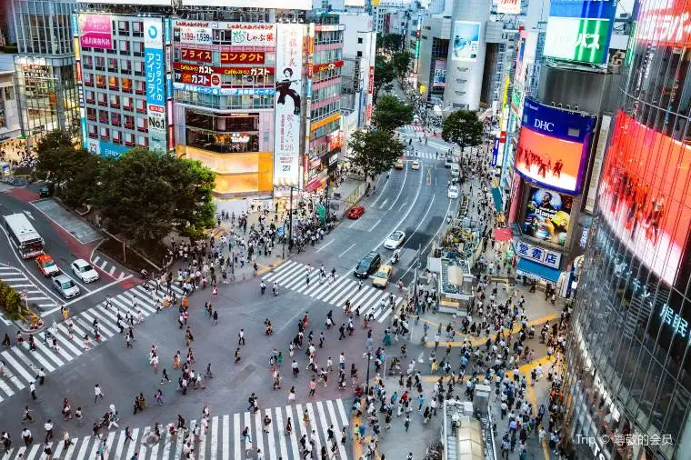 Shibuya City