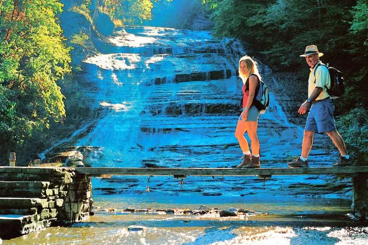 The Finger Lakes
