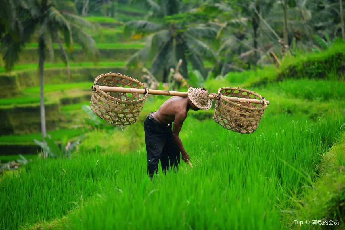 Things to Do in Canggu-Ubud
