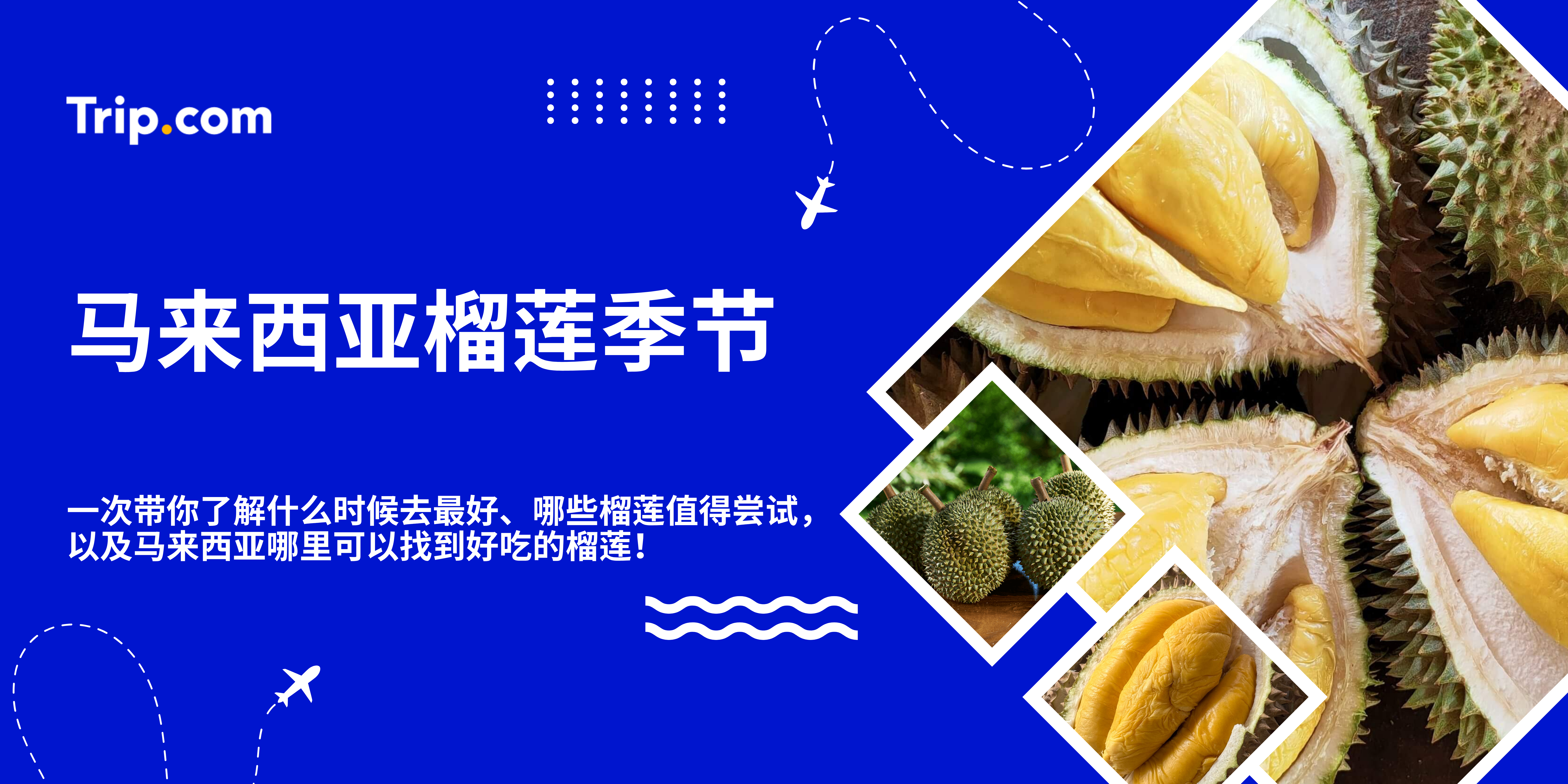 马来西亚榴莲季节：榴莲控必看攻略！