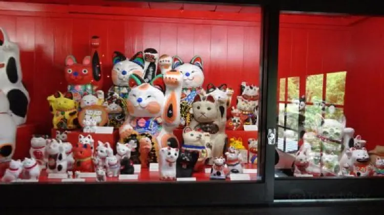 ひとり旅で岡山に行ったらやりたい5つのこと