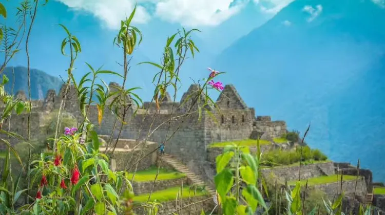 ひとり旅でペルーに行ったらやりたい5つのこと