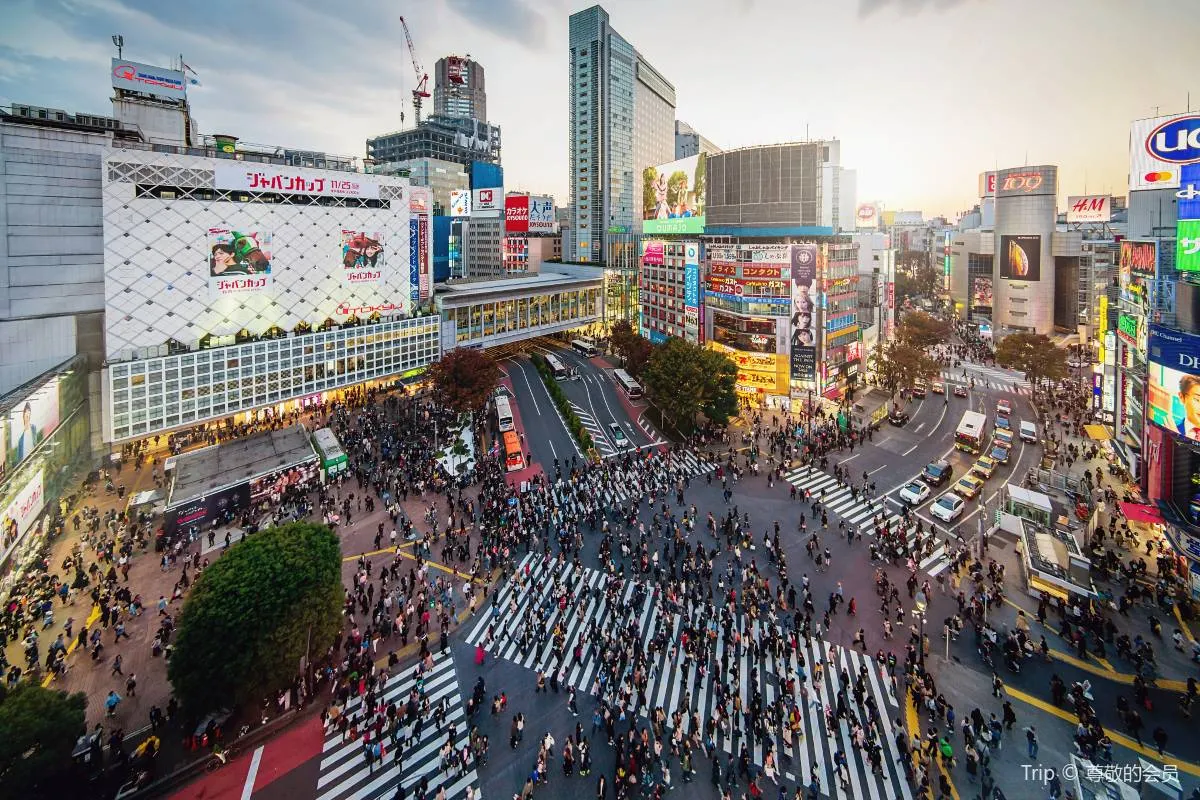 ห้าแยกชิบูย่า Shibuya Crossing