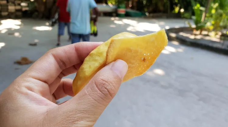 ブレッドフルーツチップス（テルリバンブケヨ）