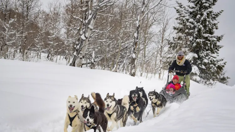 Things to Do at Solitude Ski Resort