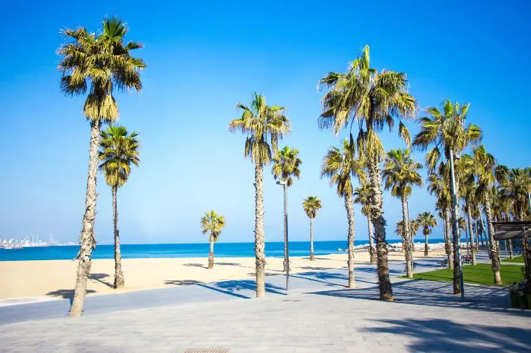 西班牙旅行費用 - 巴塞隆拿塔海灘