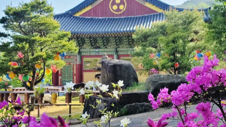 チェックしておきたい東大邱駅から大邱市内へのアクセス