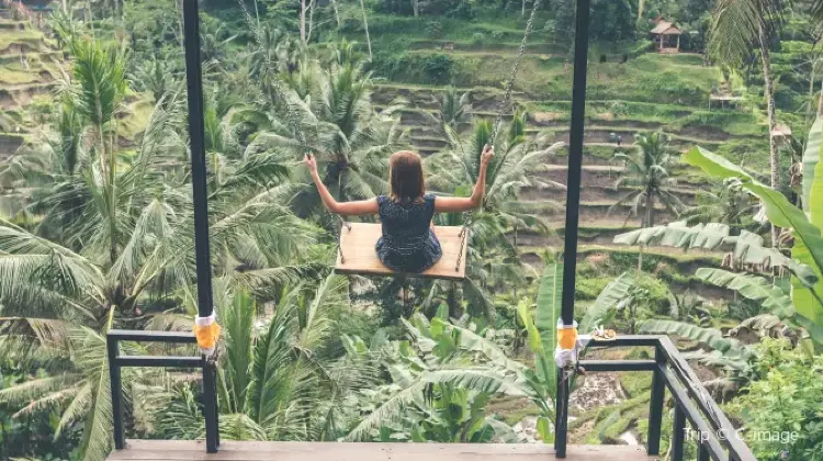 Other Top Things to do in Bali