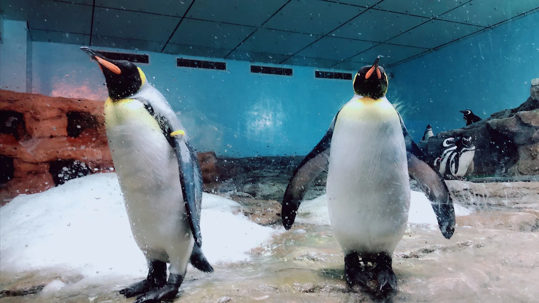 Xpark 水族館展區