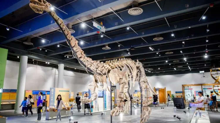 天気が雨の日に香港で楽しみたい3つのこと