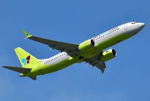 Jin Air | Your Furry Friends Can Fly With You!