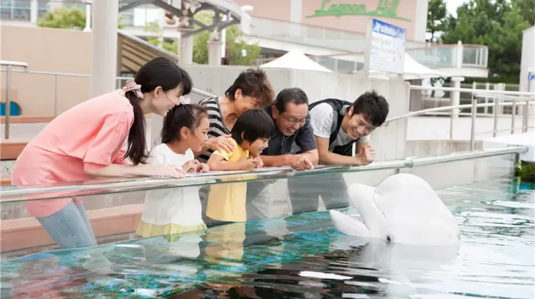 横浜・八景島シーパラダイスへのアクセス