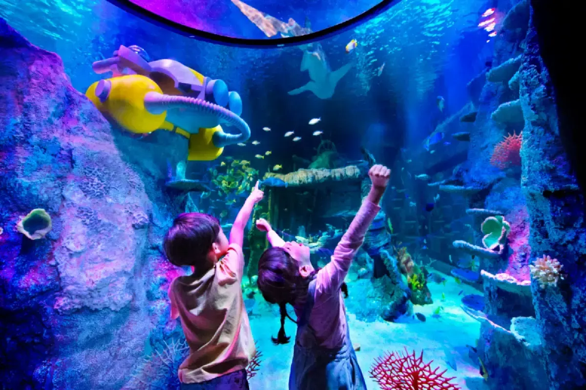 Waktu terbaik untuk mengunjungi Legoland Malaysia