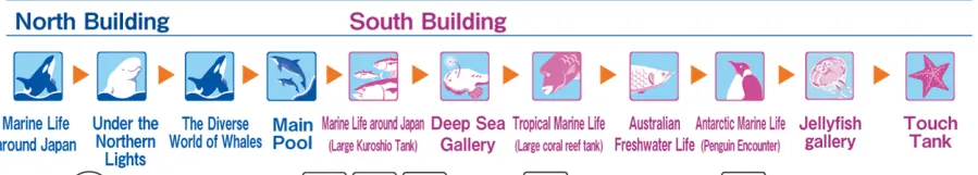 Atraksi Menarik di Akuarium Pelabuhan Nagoya