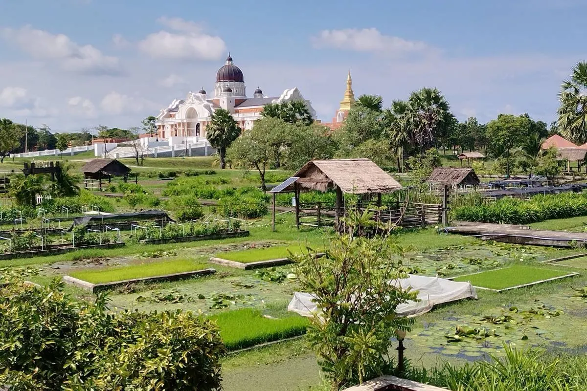 โครงการเกษตรอินทรีย์ สนามบินสุโขทัย