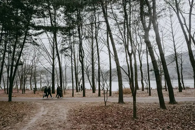 A winter scene on Nami. Source: Ammar Zainal / unsplash