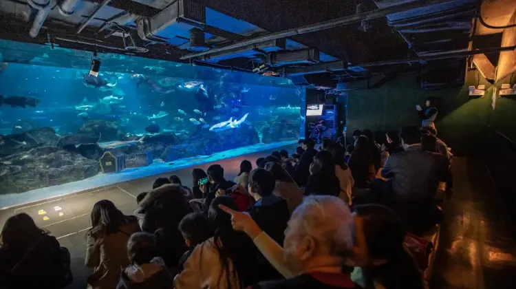 COEXアクアリウムでソウルの思い出を作ろう！