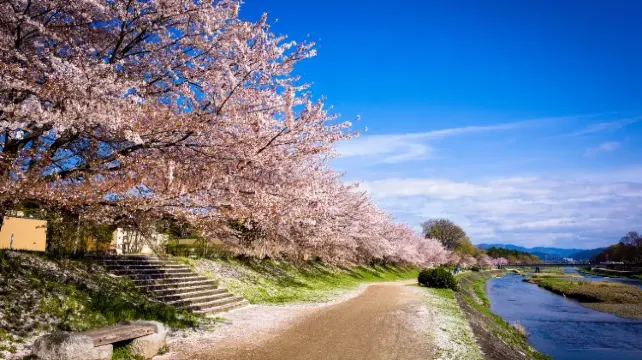 日本でeSIMを使う3つのデメリット