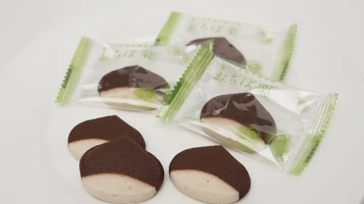 洋風笠間菓子グリュイエール「おちぼ栗」